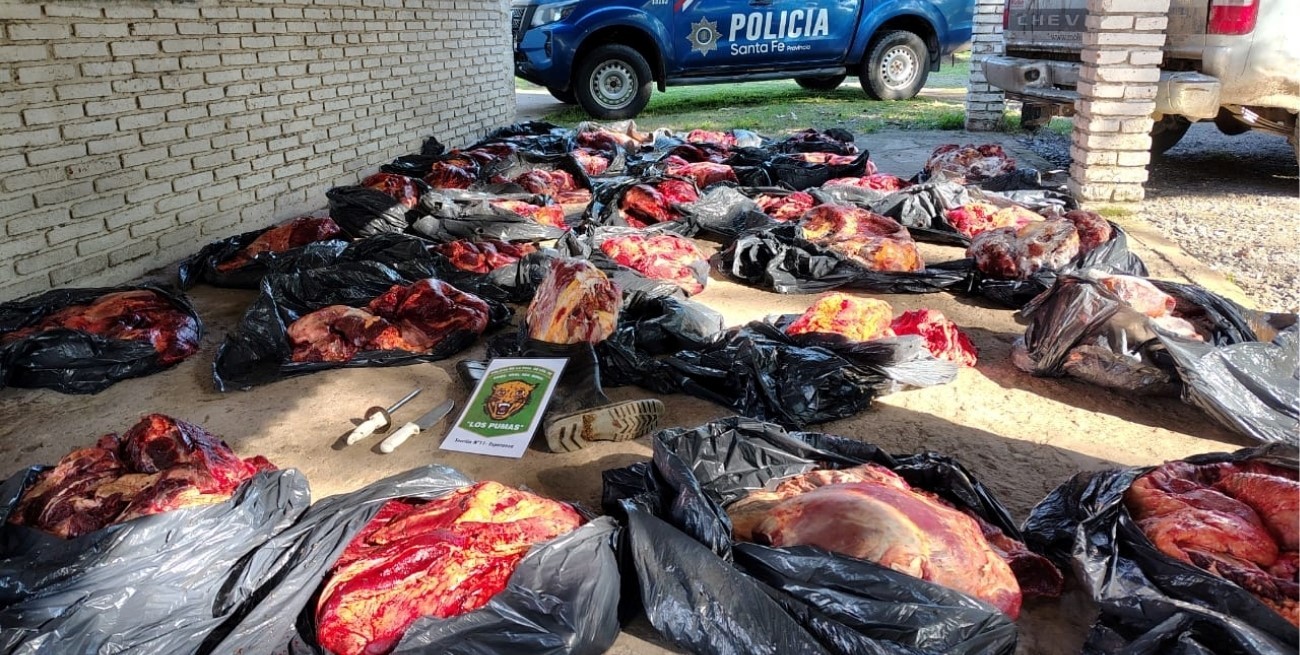 Incautaron casi dos toneladas de carne con irregularidades sanitarias