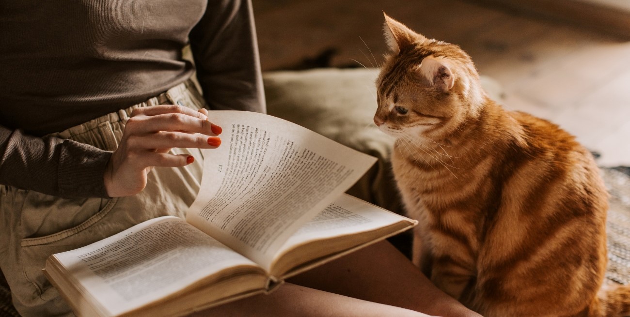 ¿Por qué algunos gatos llevan "regalos" a la casa de sus dueños?
