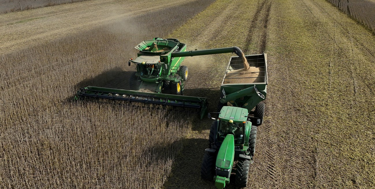 El Gobierno Nacional elimina las retenciones a los granos para impulsar la liquidación de divisas