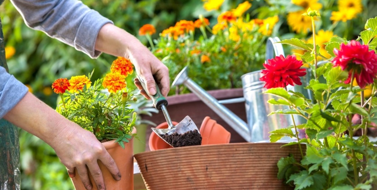 Consejos para cuidar tu espacio verde antes del invierno