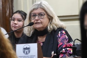 La diputada provincial Claudia Balagué proviene del socialismo y forma parte del Frente Amplio por la Soberanía. Su sector no logró ningún convencional reformador. Foto: Luis Cetraro