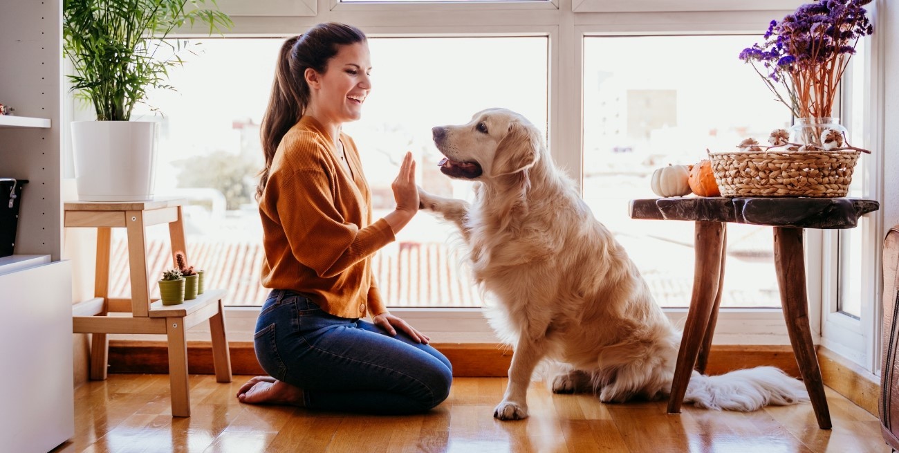 Los efectos positivos de tener un perro en tu salud y estado de ánimo