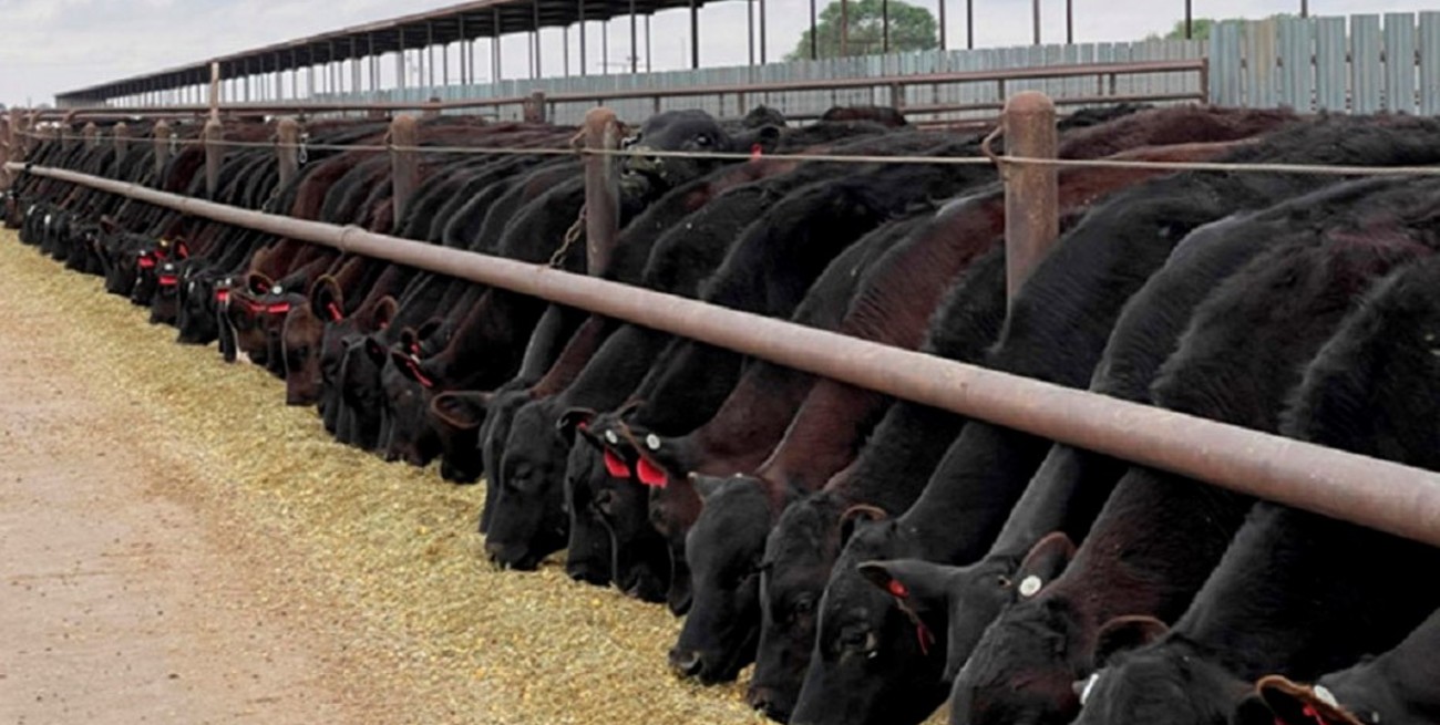 El Negocio de la Carne en Sistemas Lecheros