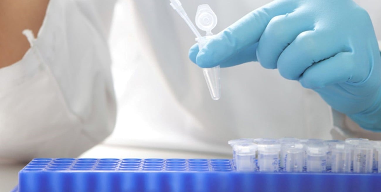 Fuerte reclamo para que se cumpla con el financiamiento a la ciencia y tecnología