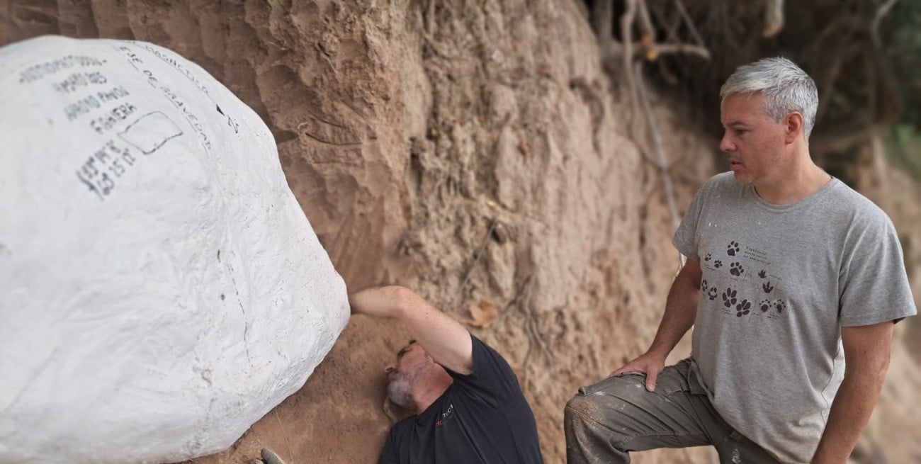 Importante rescate paleontológico en el arroyo Pavón