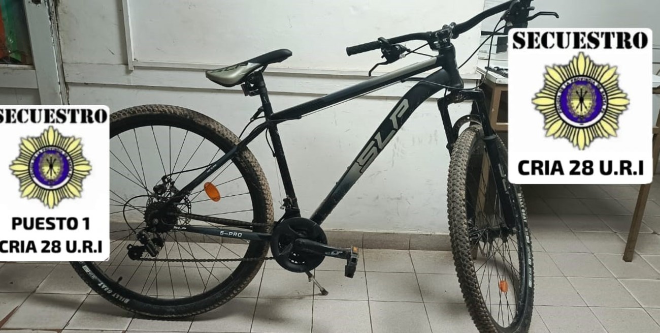 Un adolescente robó una bici de un vivero de la ruta 1 pero quedó grabado en video