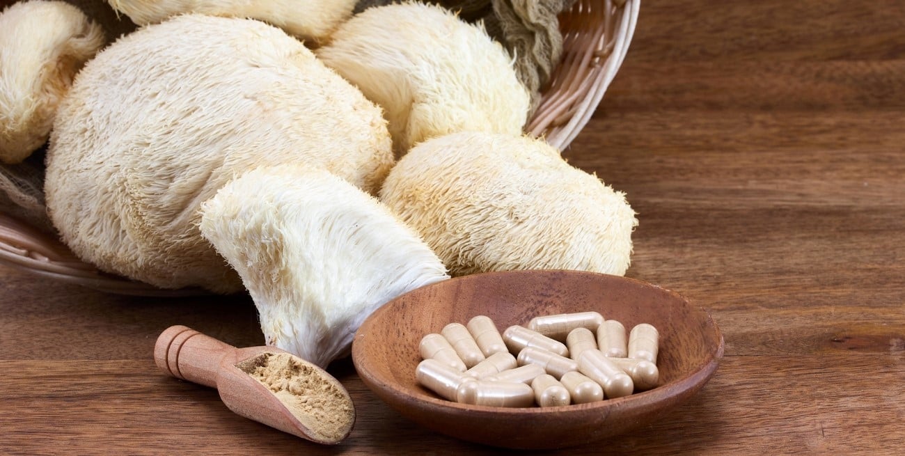 Melena de león: el hongo que fortalece la memoria