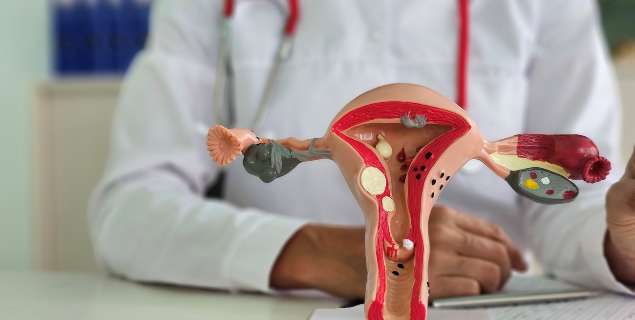 Salud ginecológica: ¿qué es un embarazo ectópico?