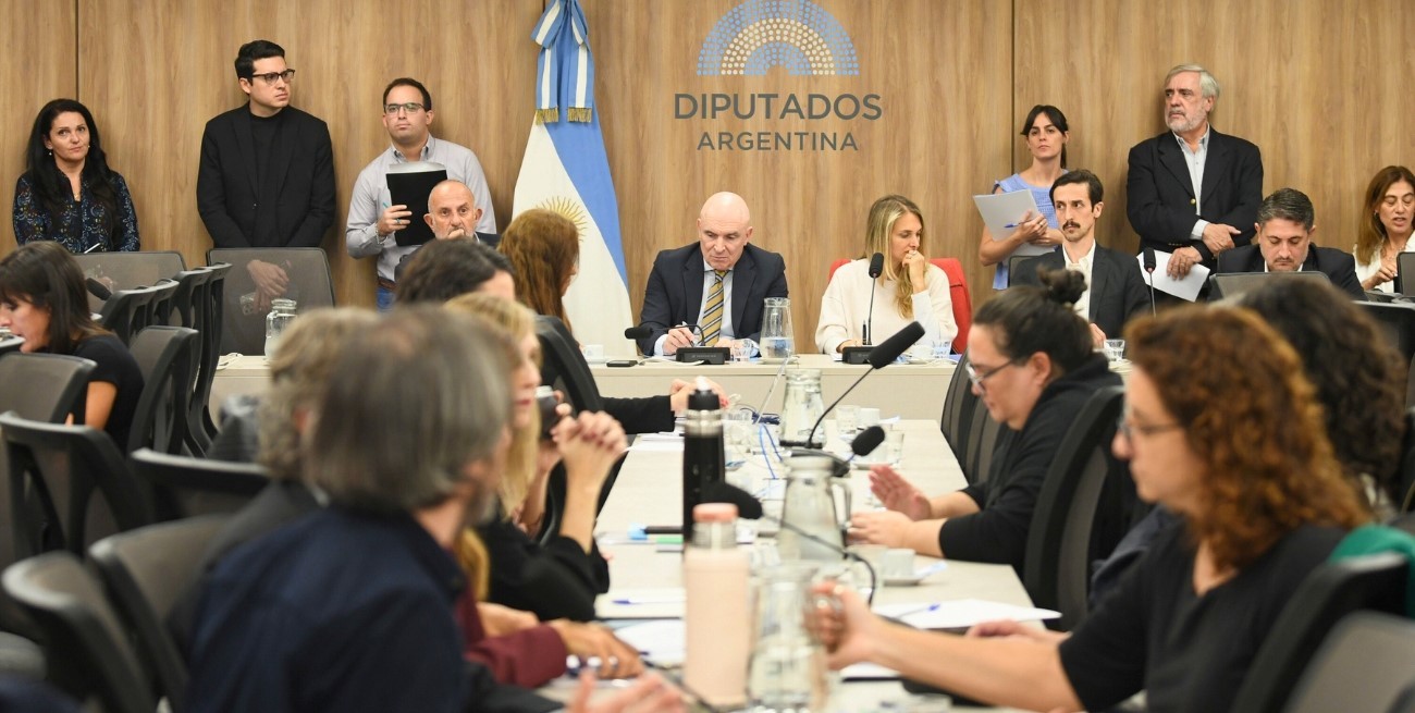 Toman forma los proyectos sobre la moratoria previsional y el bono jubilatorio