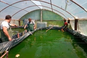 "Hay preocupación por el posible cierre de locales", advierte un legislador provincial.