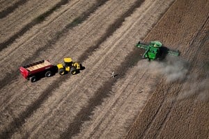 Los factores climáticos prolongaron la finalización de la cosecha gruesa y limitaron significativamente el ingreso de maquinaria a los lotes.