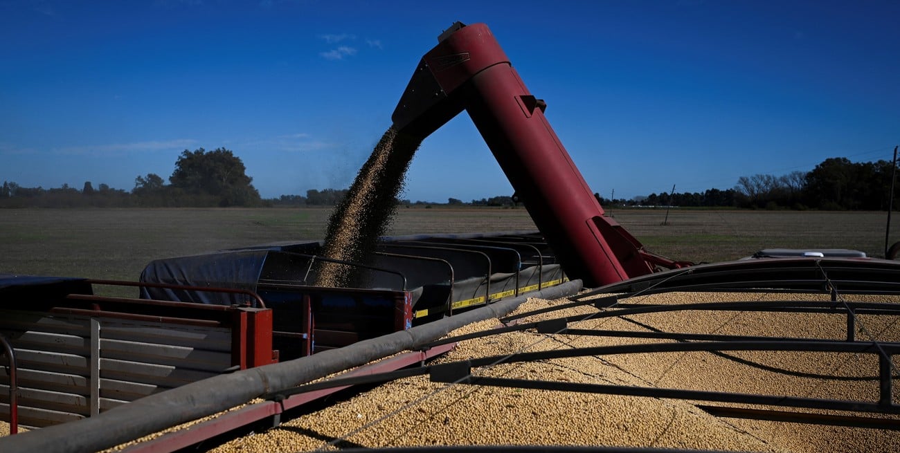 Por la baja permanente de retenciones, el agro proyecta un 8% más de producción y 28.800 millones de dólares extra a 10 años