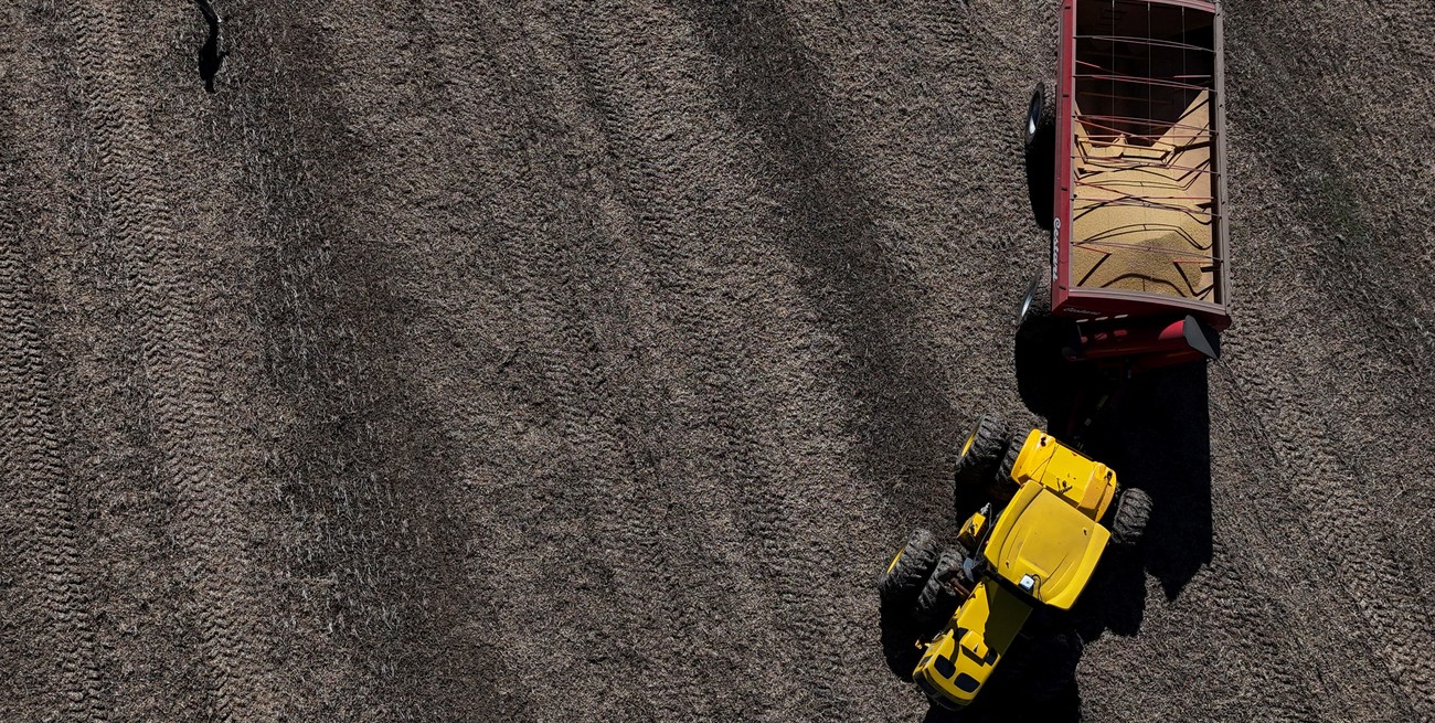 Con muy buenos resultados, finalizó la cosecha de soja tardía