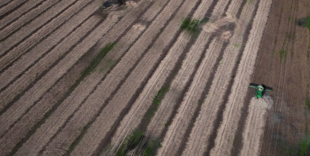 China suspendió por un año los aranceles adicionales a productos de EE.UU. y reaviva las expectativas del comercio agrícola