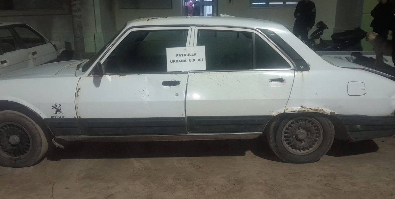 Cuatreros detenidos en la costa: llevaban 8 terneros dentro de un Peugeot 504