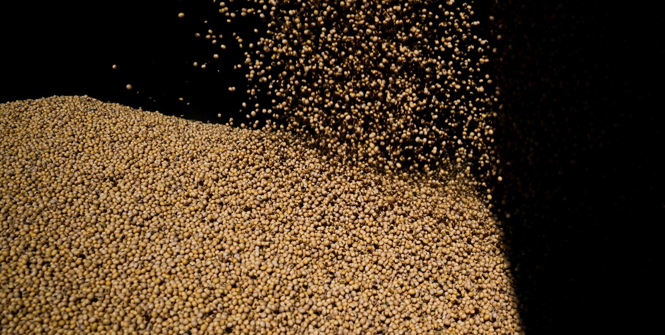 ¿Cuánto resta exportar al agro en 2025?