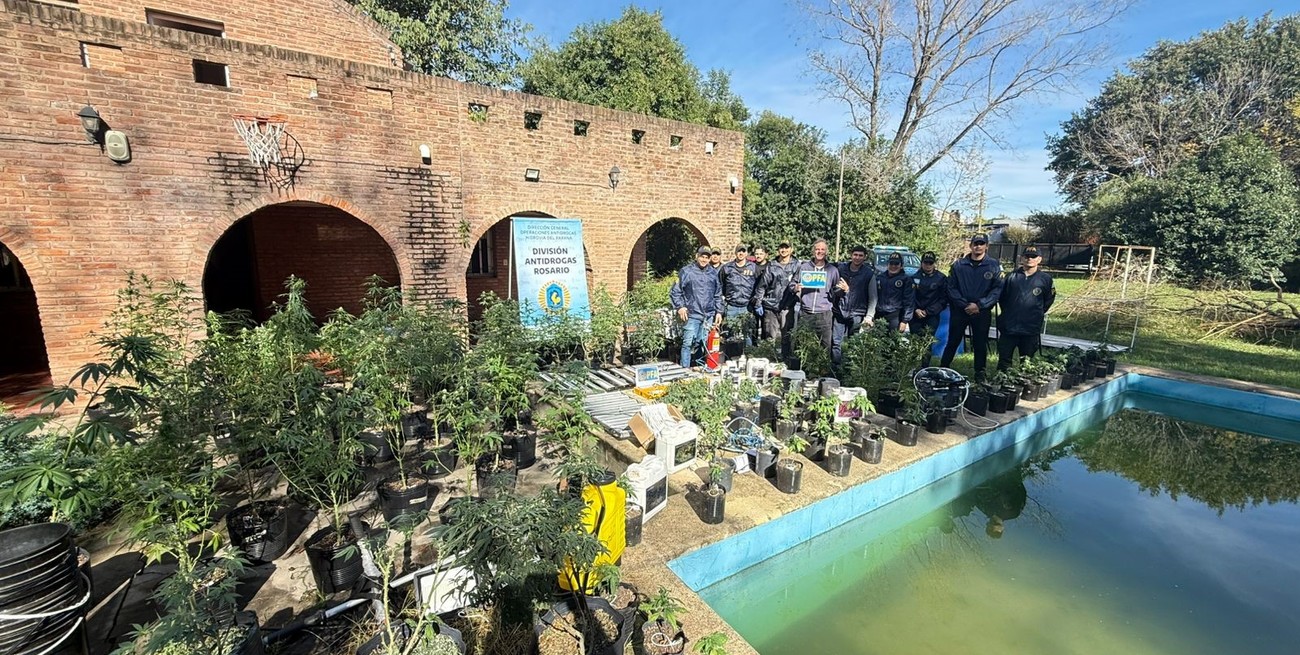 Cultivaban y vendían marihuana en el sur de la provincia de Santa Fe