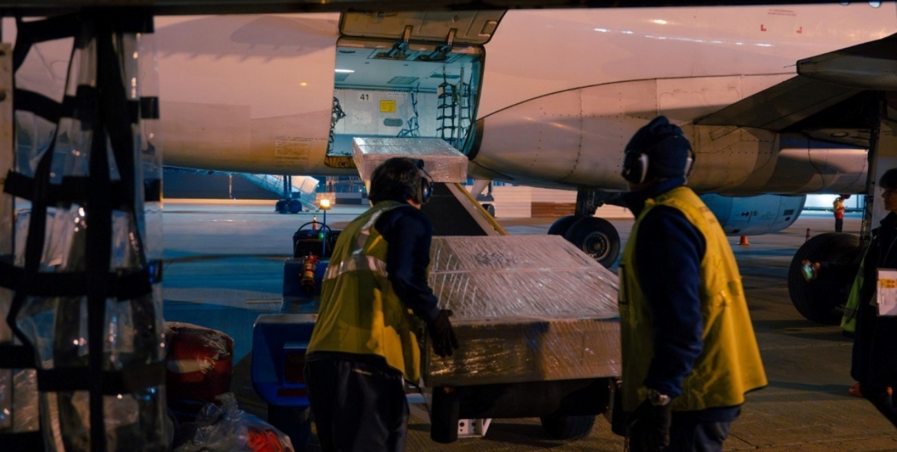 Exportar desde el interior: el impacto de la desregulación en Santa Fe