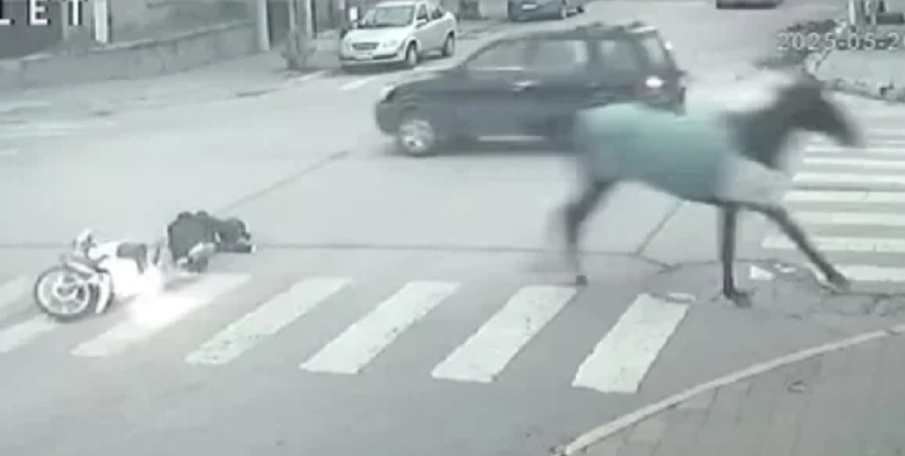 Una motociclista resultó herida tras ser embestida por un caballo