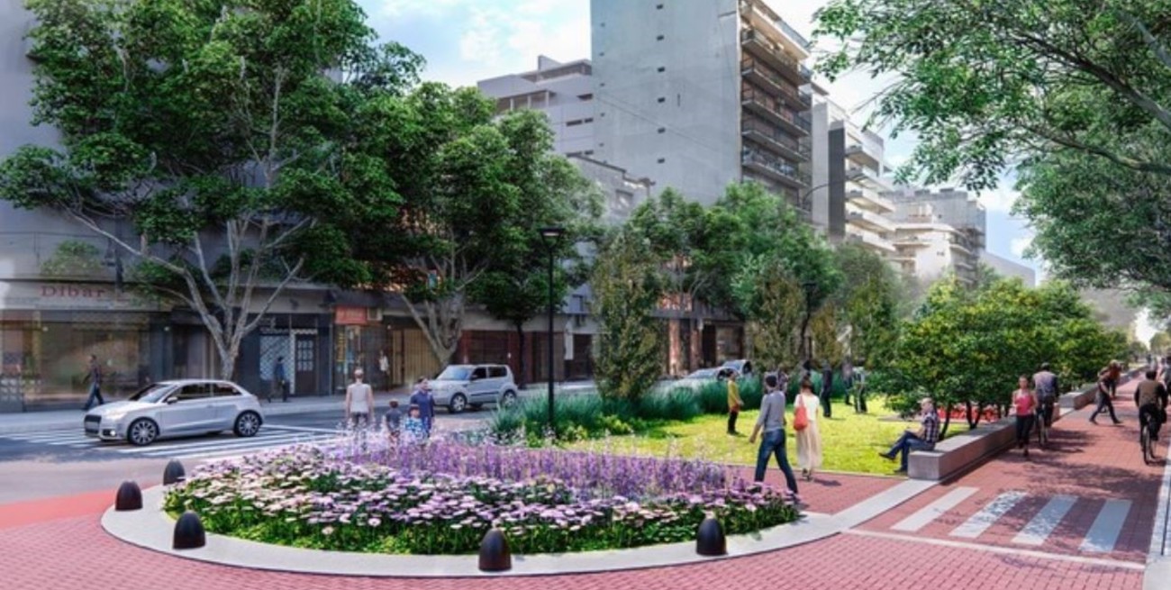 Con más de 2 mil plantas, se vienen las "isletas verdes" en el bulevar de la ciudad de Santa Fe