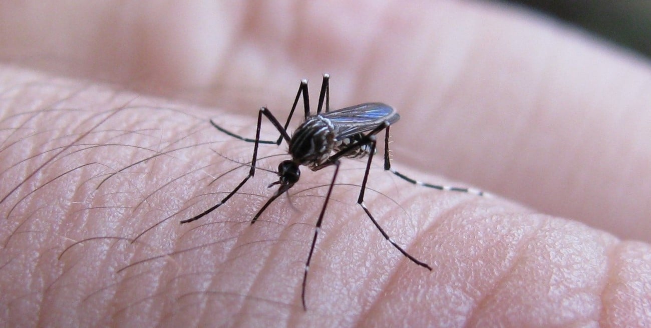 Rosario entra en fase de recuperación tras el brote de dengue

