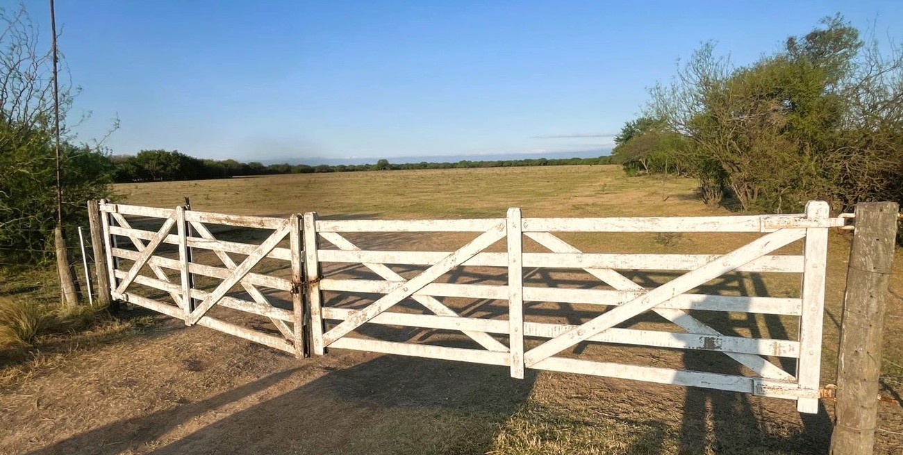 Un debate con tranqueras entre producción y autonomía municipal