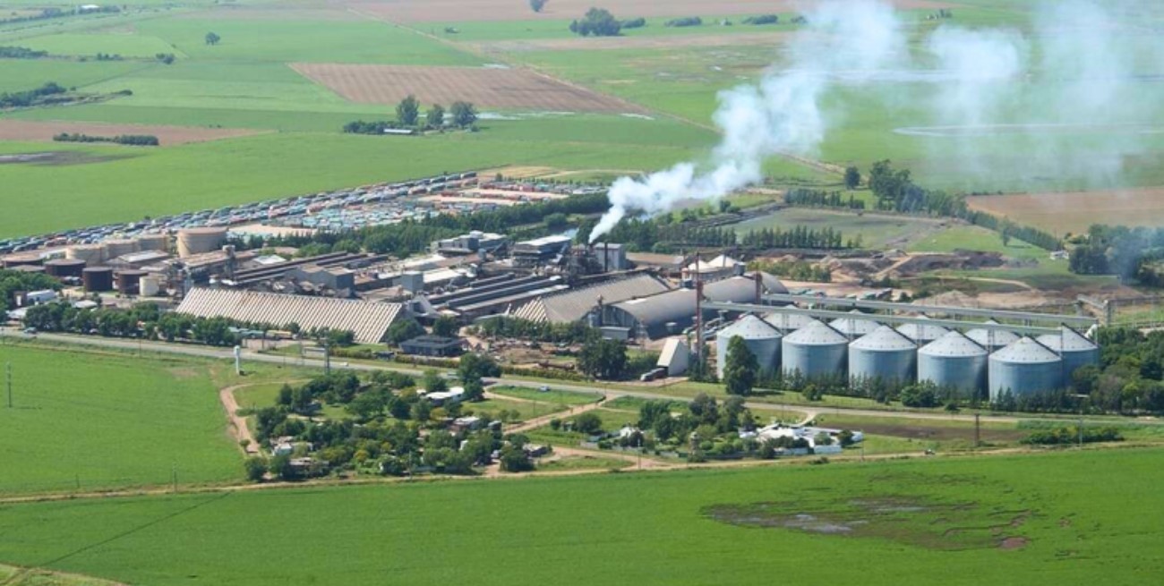 Aval judicial a una decena de fasones para reactivar plantas paradas de Vicentin