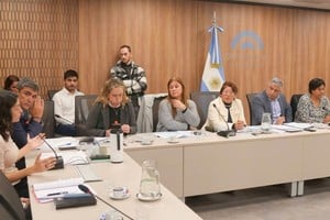 Tras la remoción de la titular y su adjunto, la Bicameral deberá definir cómo continuará el funcionamiento y la conducción de la Defensoría.