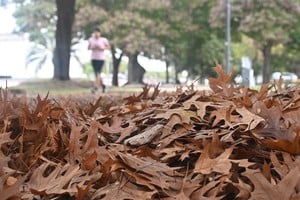 Para la capital santafesina y sus alrededores, este inicio de otoño se presenta con una jornada de sábado templada. Foto: Guillermo Di Salvatore.
