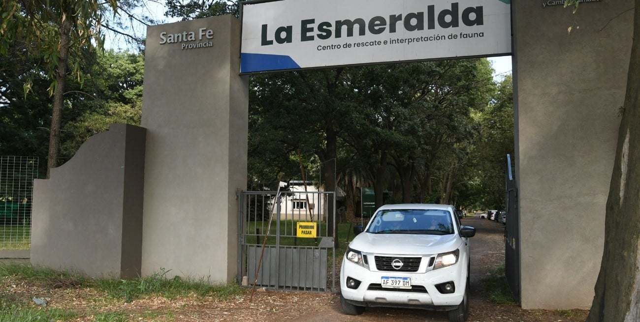 20 animales muertos: el triste saldo de un incendio en la Granja La Esmeralda