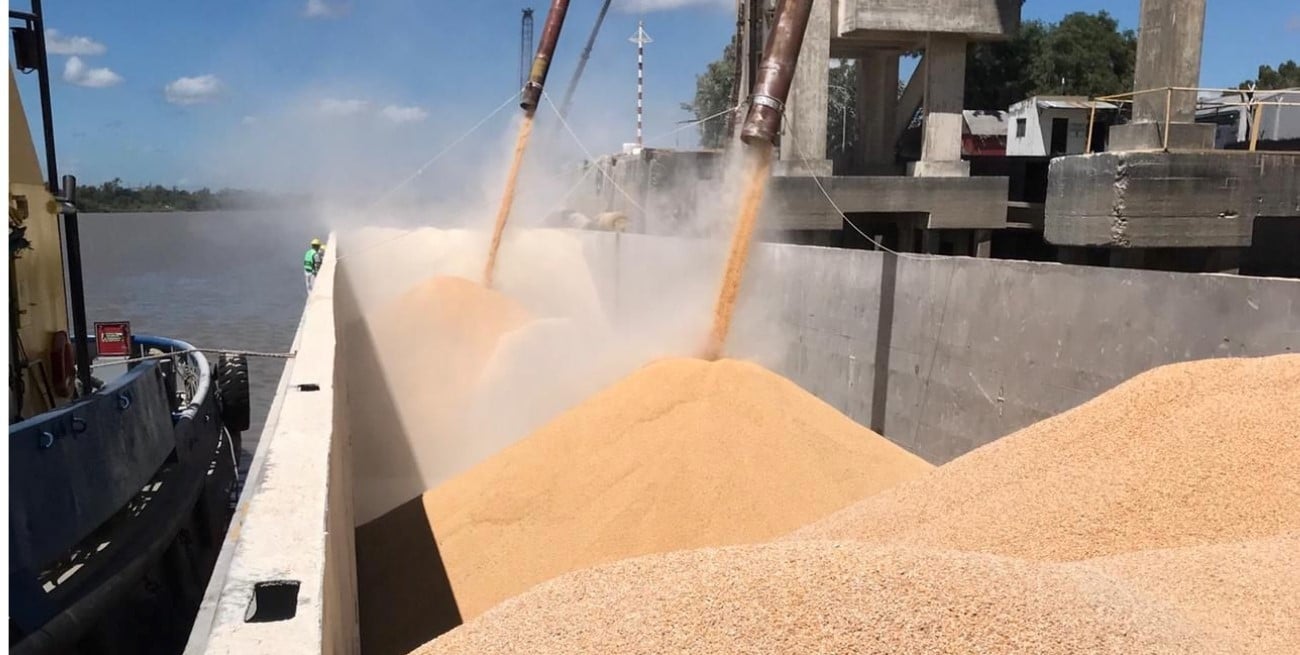 Agroexportadores liquidaron en mayo más de 3 mil millones de dólares