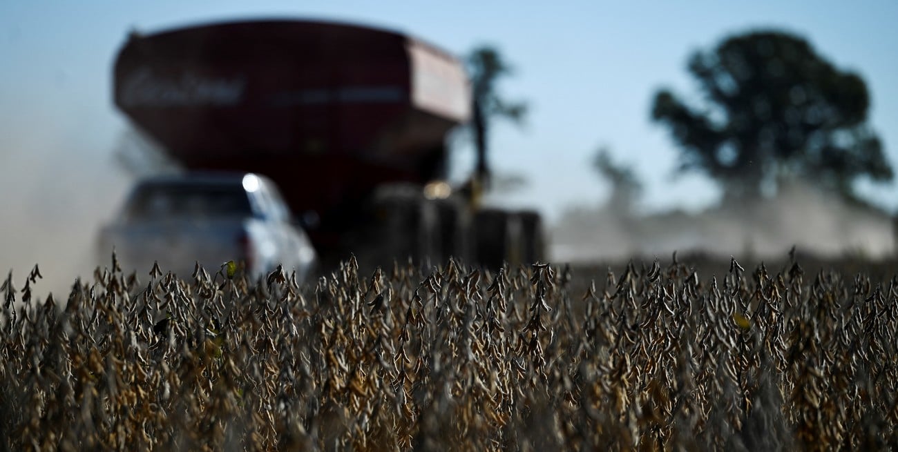 Entre oportunidades y riesgos: cómo impactará el clima en la campaña agrícola 2025/2026