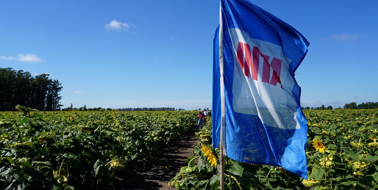 Incertidumbre ante un próximo decreto sobre la reestructuración del Inta