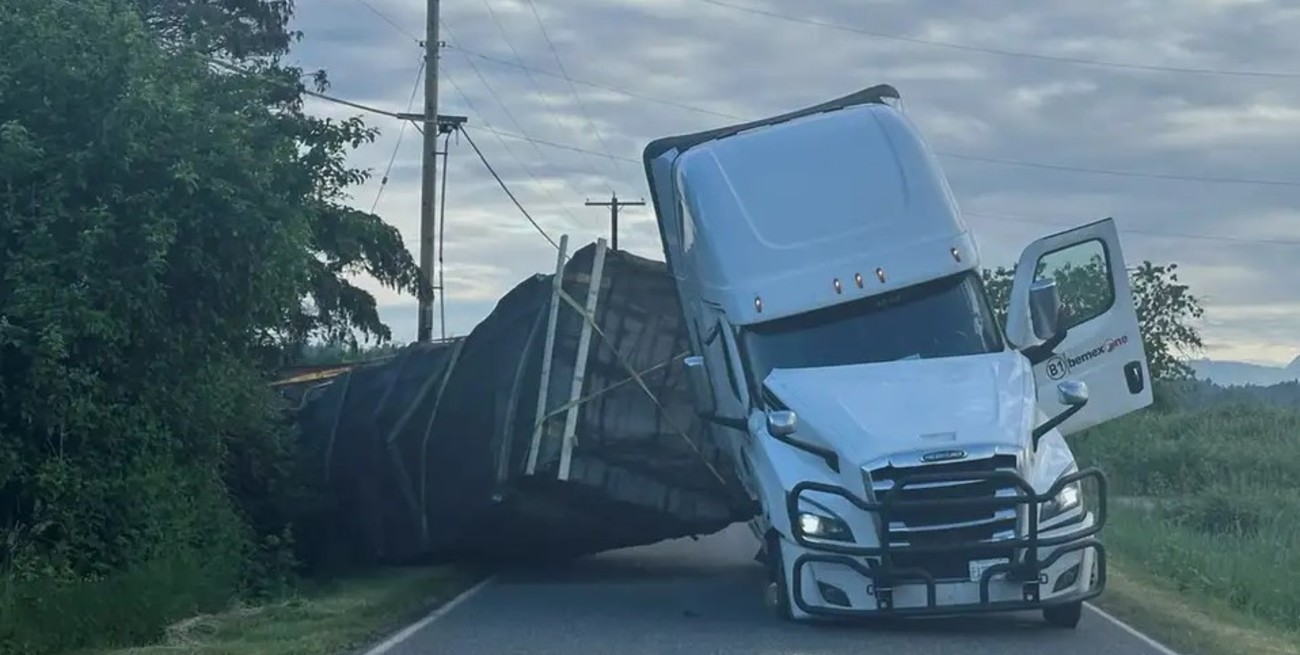 Video: volcó un camión en Estados Unidos y liberó 250 millones de abejas melíferas