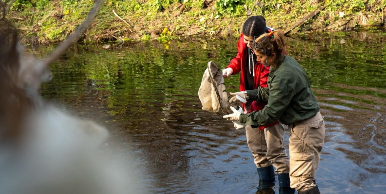 Ambiente: con 1500 toneladas de basura menos, el arroyo Ludueña se revitaliza