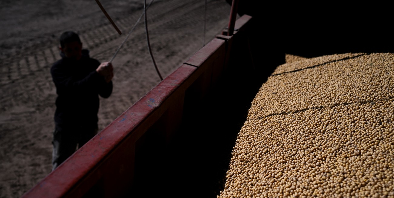China rompe récord de importaciones de soja
