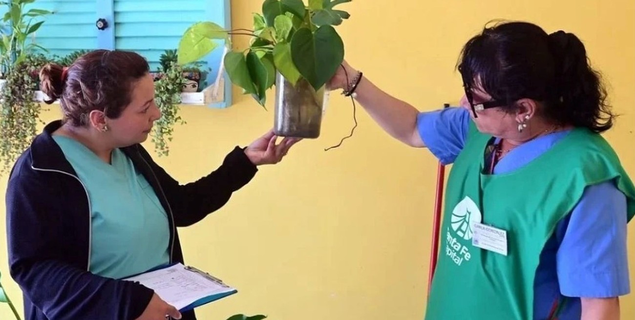 Santa Fe 1 – Dengue 0: cómo se logró reducir 99% la enfermedad en un año