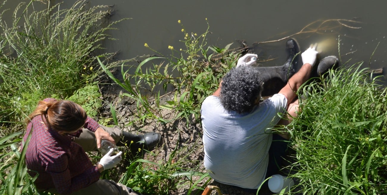 Alarma por contaminación extrema en arroyos de Santa Fe y Entre Ríos: detectan niveles récord de glifosato y toxicidad letal