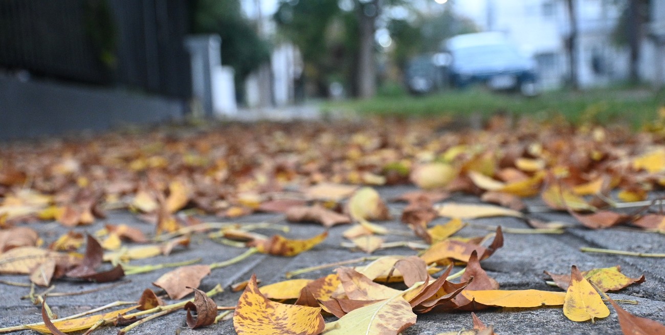 Mínima de 0° y sigue la ola polar en la ciudad de Santa Fe: el pronóstico este martes