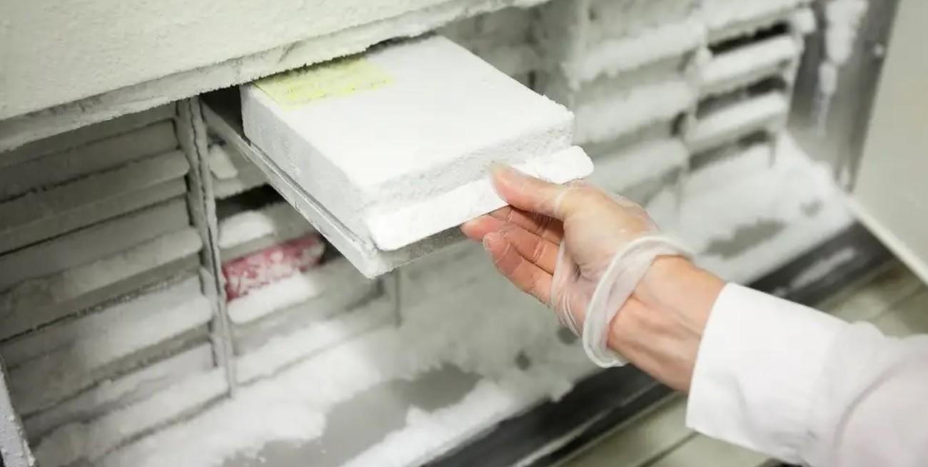 Excrementos humanos congelados: una reserva de emergencia biológica