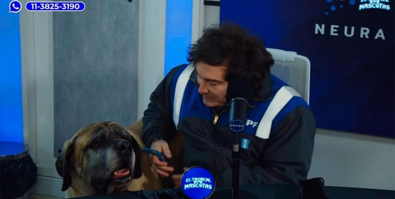 "Acá está": Javier Milei apareció con su perro Conan en un streaming solidario