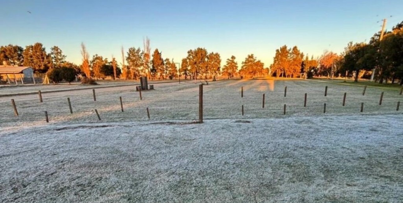Heladas intensas y siembra de trigo a ritmo firme en el centro del país