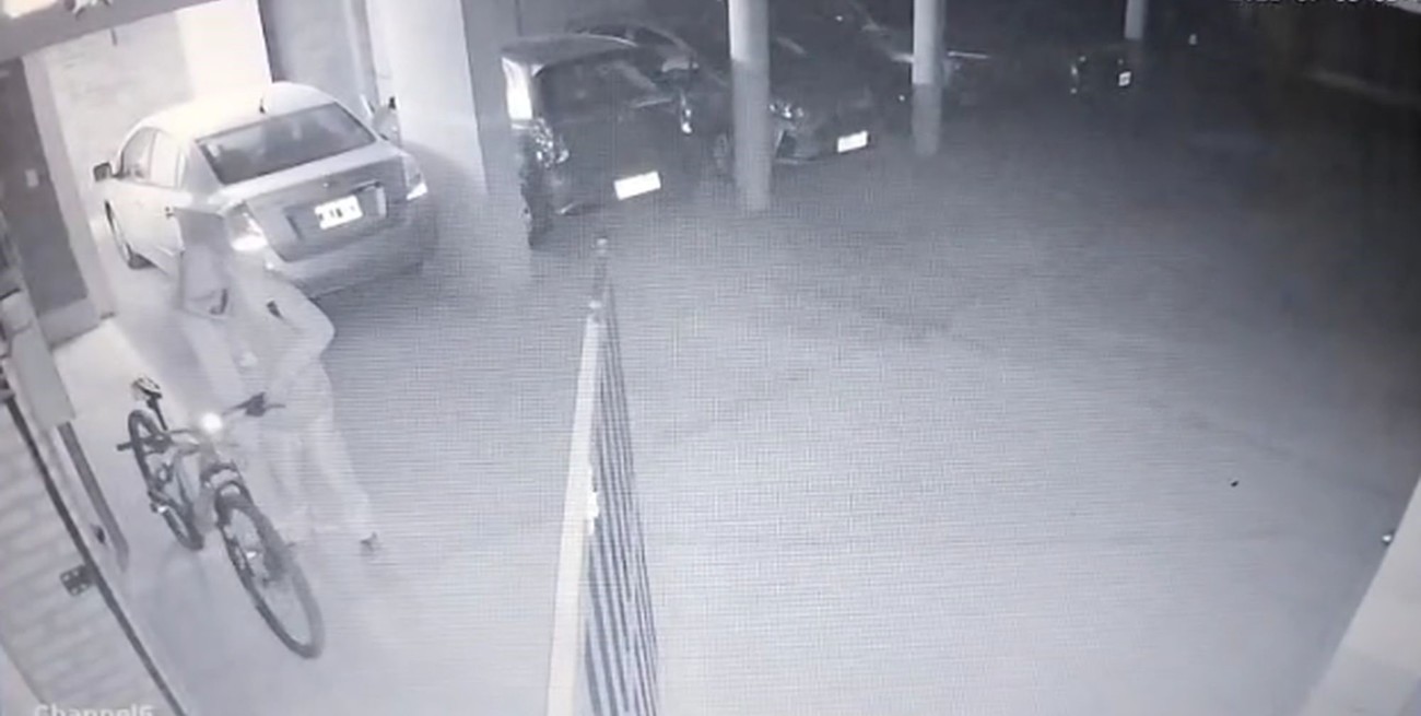 Un audaz ladrón entró a un edificio en barrio Sur y su incursión quedó grabada