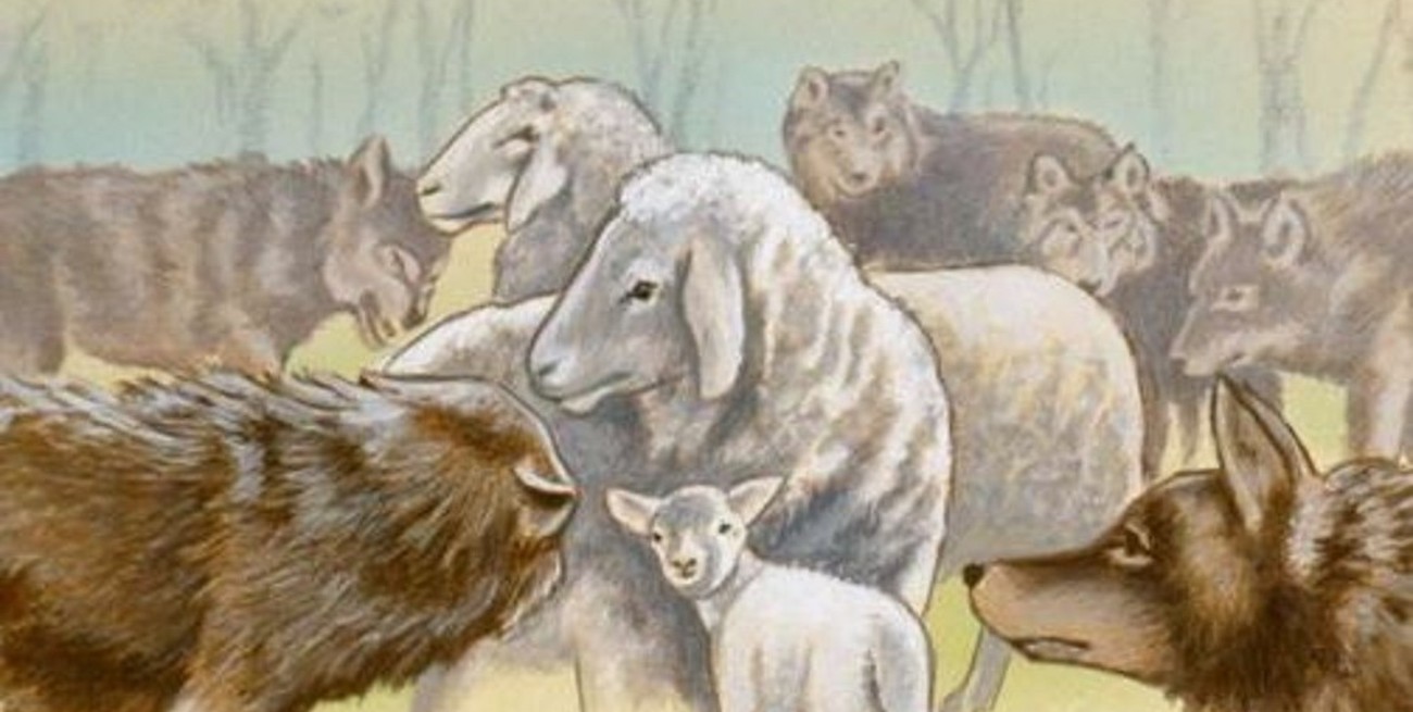 "Los envío como corderos en medio de lobos"