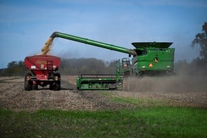 La actividad se ubicó 15,8% por encima del nivel de igual mes del año anterior