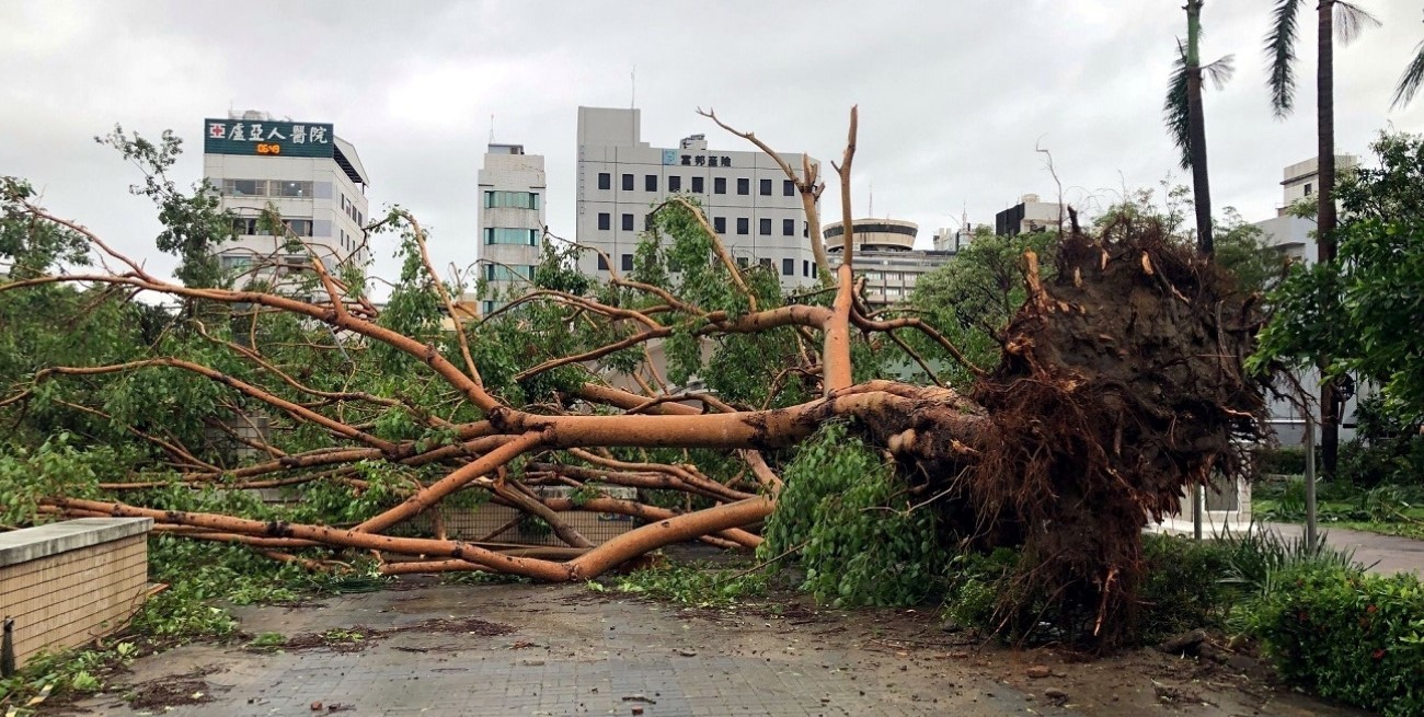 Tifón Danas en Taiwán: dos muertos, 300 heridos y 580.000 cortes de luz