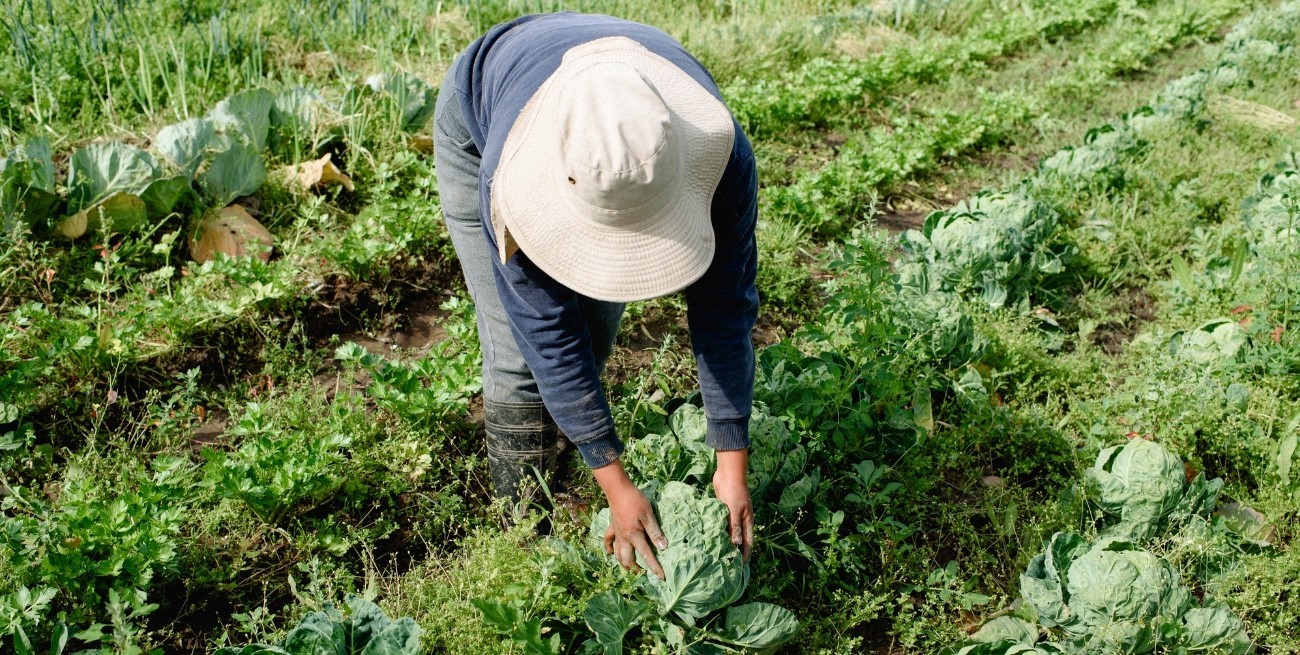 "Las mujeres somos la mitad": un buen argumento para empezar a hablar de género y cambio climático