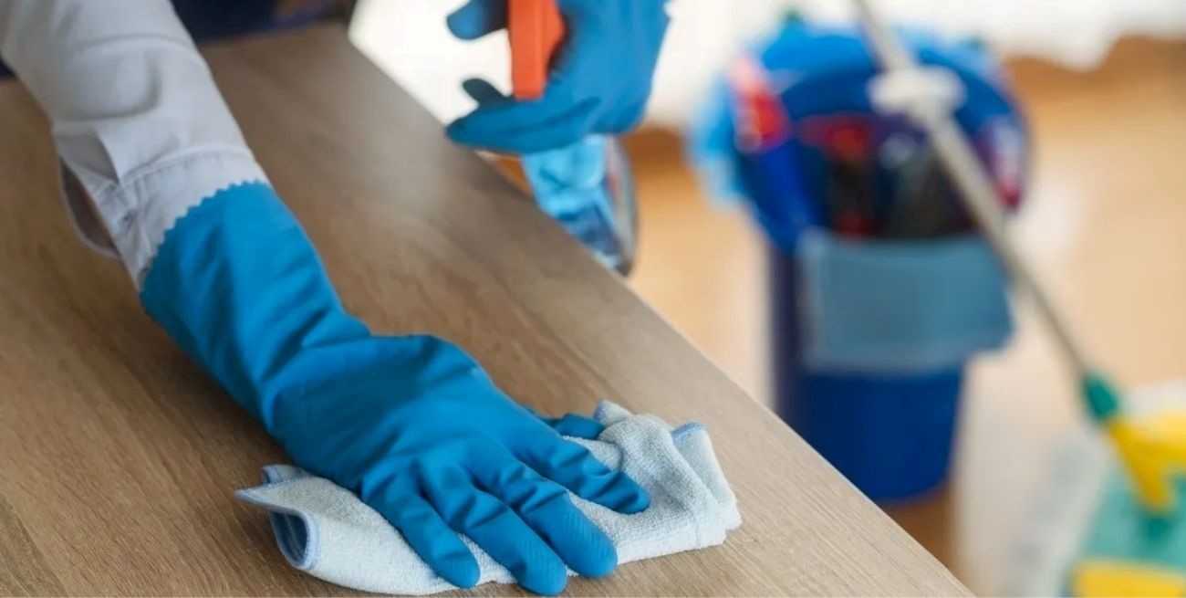 Paritarias para empleadas domésticas: el Gobierno convoca luego seis meses 
