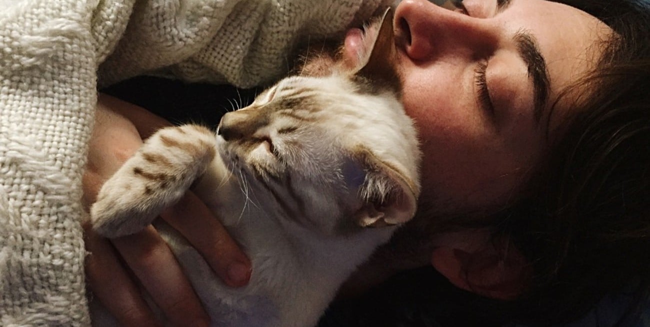 El efecto energético de que tu gato duerma sobre vos