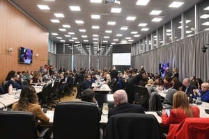 La Cámara de Diputados de la Nación prevé jornadas intensas de trabajo en comisiones y con funcionarios convocados.
Crédito: Cámara de Diputados de la Nación.